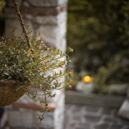 Holiday home La Casetta *